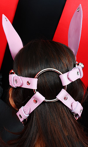Pony Bridle Harness with Ears