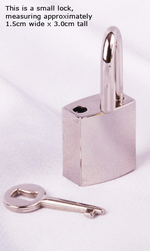 Small Lock (with key)